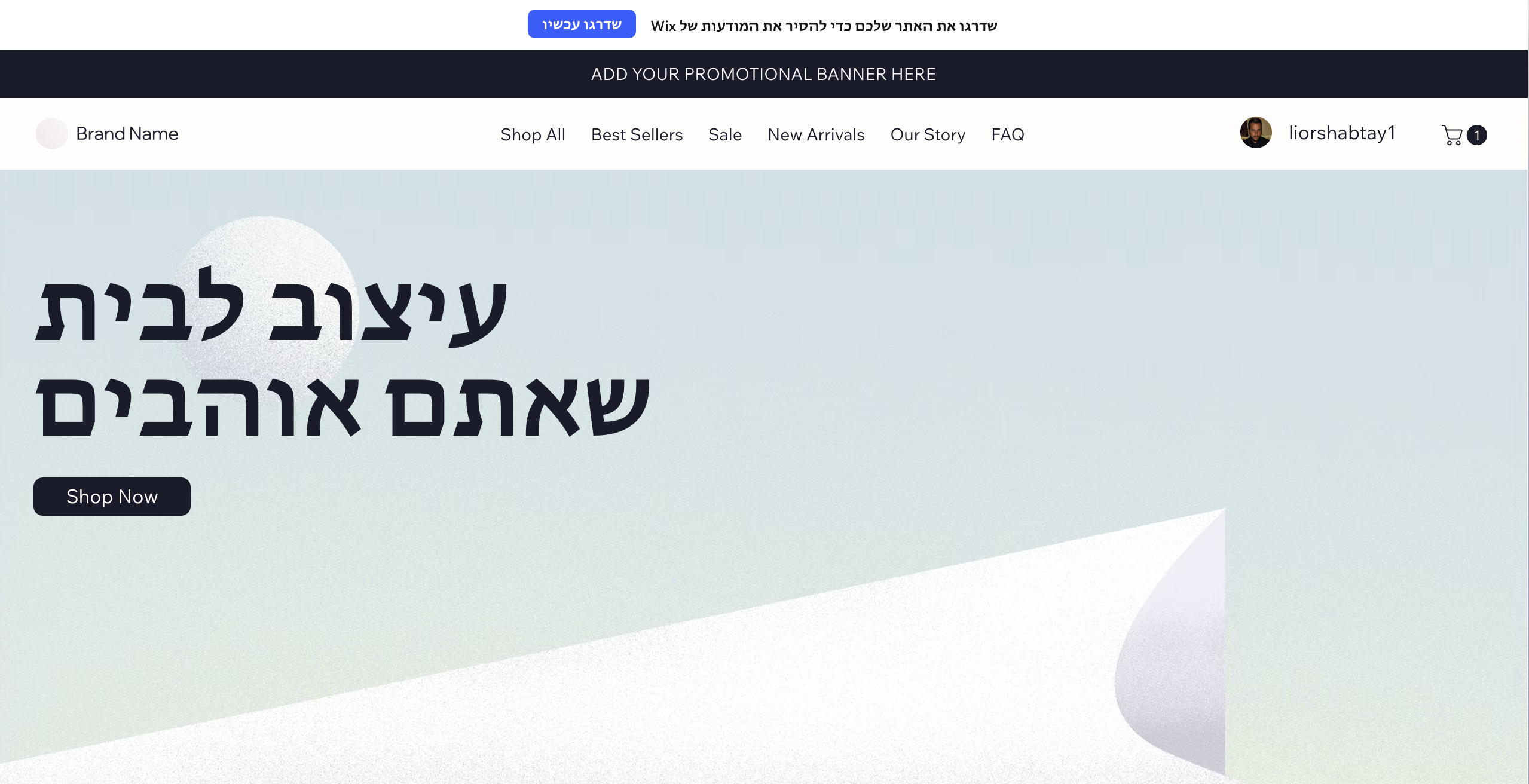 עמוד הבית של החנות בוויקס, כותרת בעברית מעל תפריט באנגלית